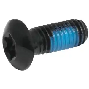 Болт тормозного диска Torx 42435