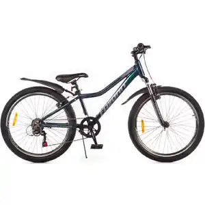 Велосипед Favorit VISTA-24VA, VST24V12GR-AL