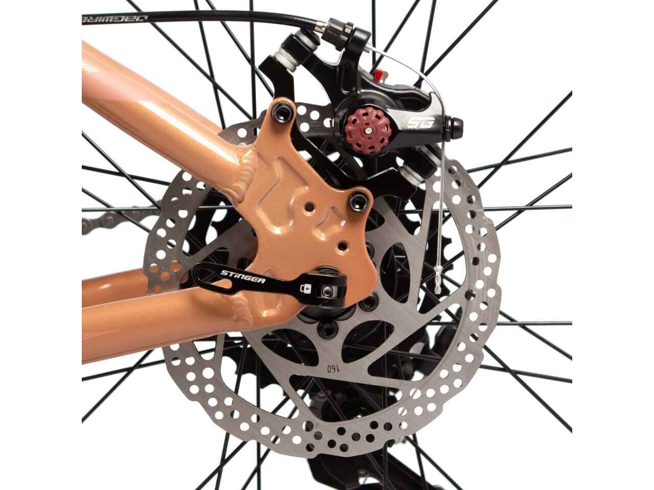 Велосипед Stinger Laguna 29 (LG, бежевый) 29AHD.LAGUNA.LGBG5 Велосипед Stinger Laguna 29 (LG, бежевый) 29AHD.LAGUNA.LGBG5