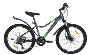 Велосипед GreenLand FORMULA 24 7S SUS (12, серый/зеленый) Велосипед GreenLand FORMULA 24 7S SUS (12, серый/зеленый)