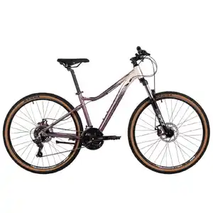 Велосипед Stinger Laguna 26 (SM, серебристый) 26AHD.LAGUNA.SMSL5