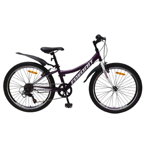 Велосипед Favorit Discovery 24VS DIS24V11MG Велосипед Favorit Discovery 24VS DIS24V11MG