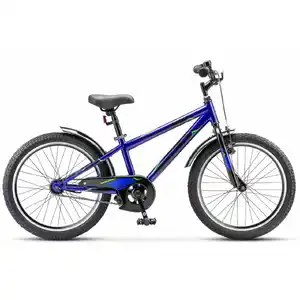 Детский велосипед Stels Pilot 20 200 VC Z010 (11, синий)
