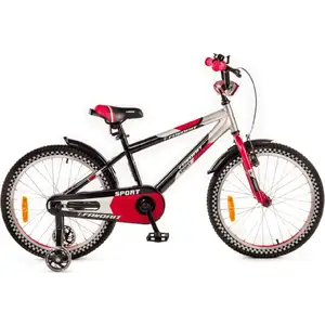 Детский велосипед Favorit Sport 20 (черный/красный) SPT-20RD2