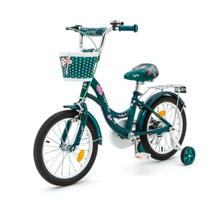 Детский велосипед Zigzag Girl 16 (зеленый) ZG-1636