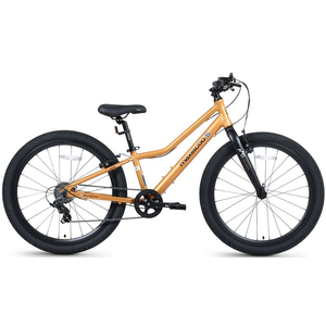 Велосипед Maxiscoo 5BIKE 24'' L Оранжевый Матовый