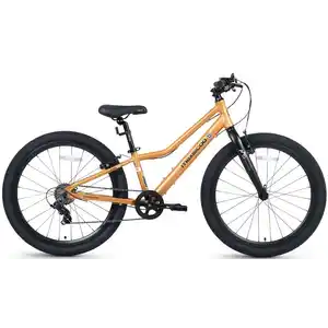 Велосипед Maxiscoo 5BIKE 24'' L Оранжевый Матовый