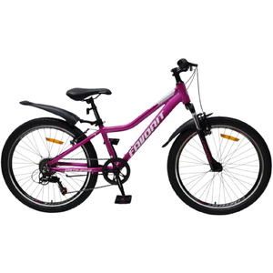 Велосипед Favorit VISTA-24VA, VST24V12FC-AL