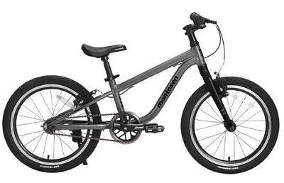 Детский велосипед Montasen F08 (серый) F08-20GR
