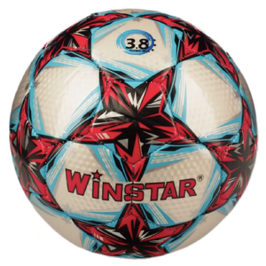 Футзальный мяч Winstar WN11011