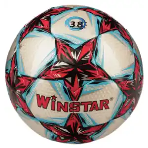 Футзальный мяч Winstar WN11011