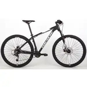 Велосипед Titan Racing Rogue Alpine 29 (M(17), Fusion Black, 2024)
