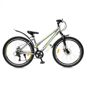 Велосипед Greenway Colibri-H 24 (14, серый/зеленый)