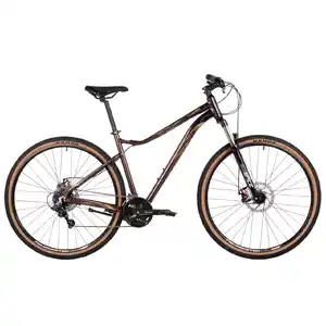 Велосипед Stinger Laguna 29 (LG, фиолетовый) 29AHD.LAGUNA.LGVT5