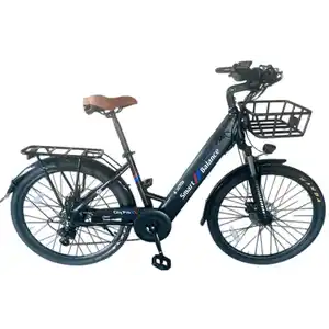 Электровелосипед Smart Balance City Pro (черный)