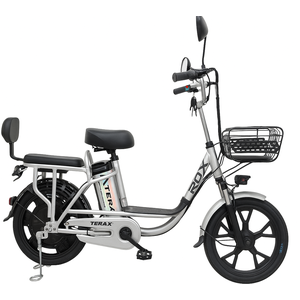 Электровелосипед Terax ROXY NS010 серебро