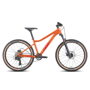 Велосипед HAGEN Teen 24 8 HD (2XS(13,5) медный матовый) Велосипед HAGEN Teen 24 8 HD (2XS(13,5) медный матовый)