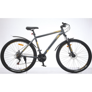 Велосипед Reborn Rager 29 (21, серый/золотой) Велосипед Reborn Rager 29 (21, серый/золотой)