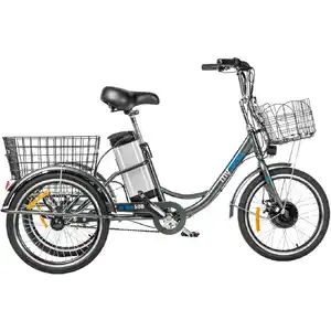 Электровелосипед MyWay Trike 500 20 (15, графитовый матовый)