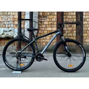 Велосипед Reborn Rager 29 (21, серый/матовый) Велосипед Reborn Rager 29 (21, серый/матовый)