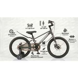 Детский велосипед Favorit TORNADO 18 Серый TOR-18GR