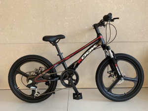 Детский велосипед Rook MD-220BK