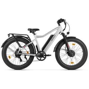 Электровелосипед Eltreco BigCat Dual Next PRO (серебристый матовый)