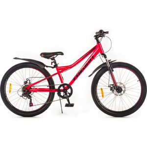 Велосипед Favorit MATRIX-24MDS, MTX24MD12RS