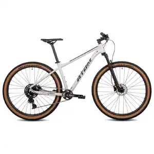 Велосипед Atom Bion Nine LTD 29 (L(18.5) SilkTitan)