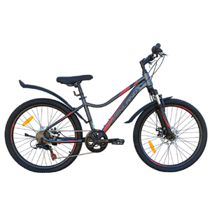 Велосипед GreenLand FORMULA 24 7S SUS (12, серый/красный) Велосипед GreenLand FORMULA 24 7S SUS (12, серый/красный)