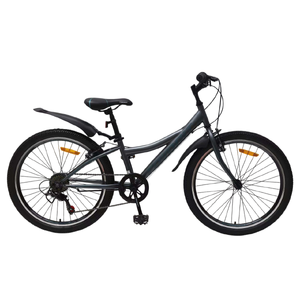 Велосипед Favorit Discovery 24VS DIS24V11GR Велосипед Favorit Discovery 24VS DIS24V11GR