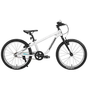 Детский велосипед Montasen F08 (серебристый) F08-20SL