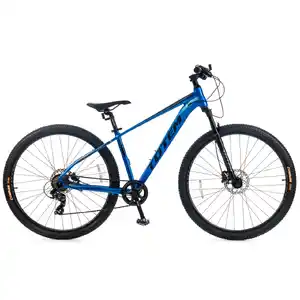 Велосипед Totem CRUISER-29HDA (16, синий) CRU29HD16BL-ALC