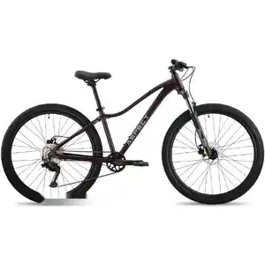 Велосипед Aspect Alma Pro 27.5 L 2026 (фиолетовый)