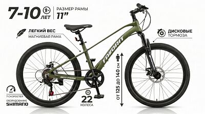 Велосипед Favorit ONYX 22 (11, зеленый)