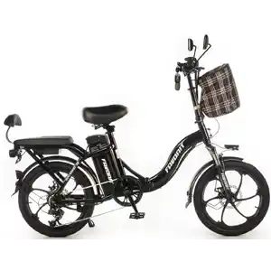 Электровелосипед Favorit MISTRA-202, MIS204810BK
