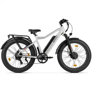 Электровелосипед Eltreco BigCat Dual Next (серебристый матовый)