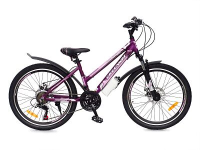 Велосипед Greenway Colibri-H 24 (14, фиолетовый/розовый)