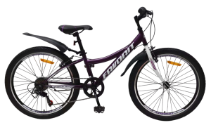 Велосипед Favorit Discovery 24VS DIS24V11MG