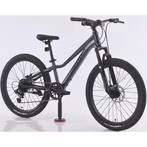 Велосипед TIMETRY TT803 26 7s (13, серый)