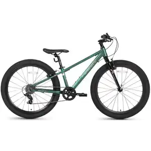 Велосипед Maxiscoo 5BIKE 24'' M Зеленый Матовый