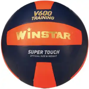Волейбольный мяч Winstar WN11014