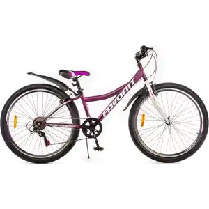 Велосипед Favorit Discovery 26VS DIS26V13MG