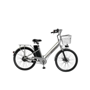 Электровелосипед Terax ALFA NS008 (серебро) Электровелосипед Terax ALFA NS008 (серебро)