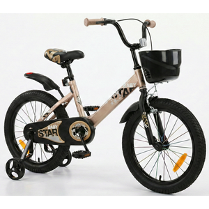 Детский велосипед Magnum Star Baby 18 (золотой, 2020)