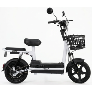 Электроскутер Terax REX NS002