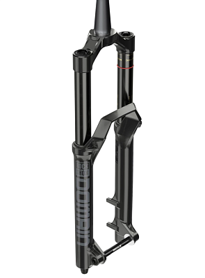 Вилка RockShox Domain R 29 180