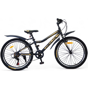 Велосипед DELTA Street 24 (12")