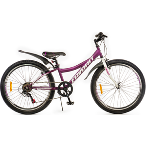 Велосипед Favorit Discovery 24VS DIS24V11MG