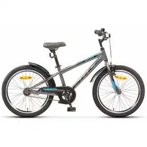 Детский велосипед Stels Turbo 200 VC Z010 20 (серый)